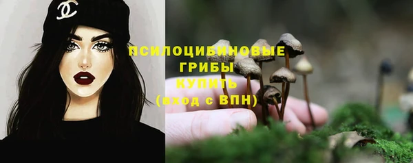 твердый Абинск