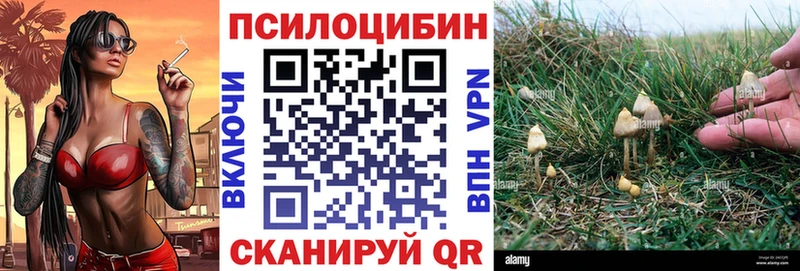 Псилоцибиновые грибы мицелий где купить наркоту Скопин